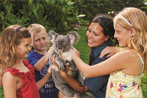 Kuranda Koala Gardens General Entry Ticket - ACT Tourism 0