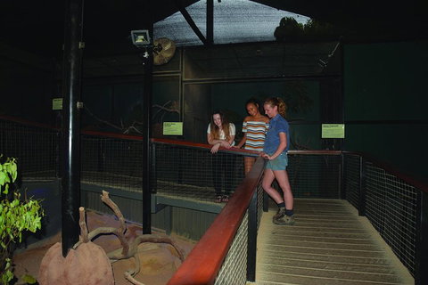 Kuranda Koala Gardens General Entry Ticket - ACT Tourism 2