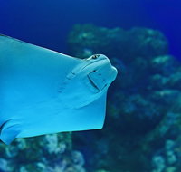 Cairns Aquarium Family Ticket - ACT Tourism