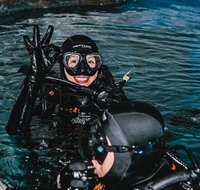 Cairns Aquarium Dive with the Sharks - ACT Tourism