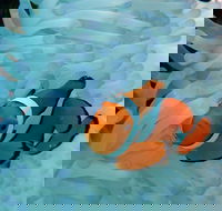 Seastar Luxury Outer Great Barrier Reef Island and Reef Tour from Cairns - ACT Tourism