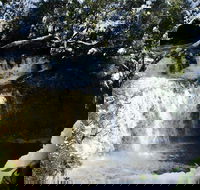 Cradle Mountain Day Tour from Launceston Including Lunch - ACT Tourism