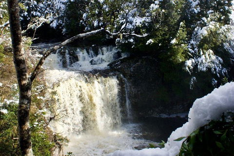 Cradle Mountain Day Tour From Launceston Including Lunch - ACT Tourism 0