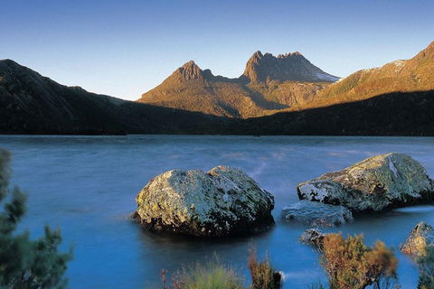 Cradle Mountain Day Tour From Launceston Including Lunch - ACT Tourism 2