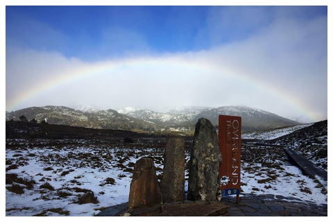 Cradle Mountain Day Tour From Launceston Including Lunch - ACT Tourism 4