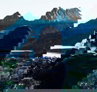 Cradle Mountain Park Explorer Guided Tour - ACT Tourism