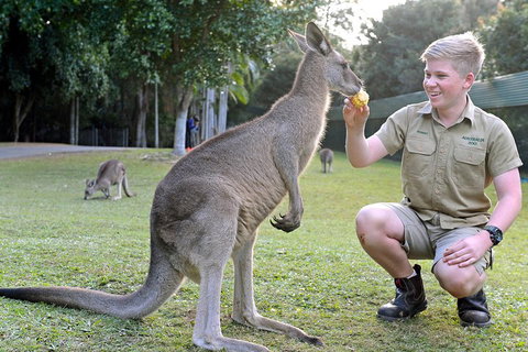 Small-Group Australia Zoo Day Trip From Brisbane - ACT Tourism 4