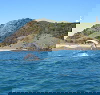 Kayaking with Dolphins in Byron Bay Guided Tour - ACT Tourism