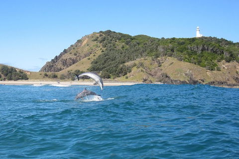 Kayaking With Dolphins In Byron Bay Guided Tour - ACT Tourism 0
