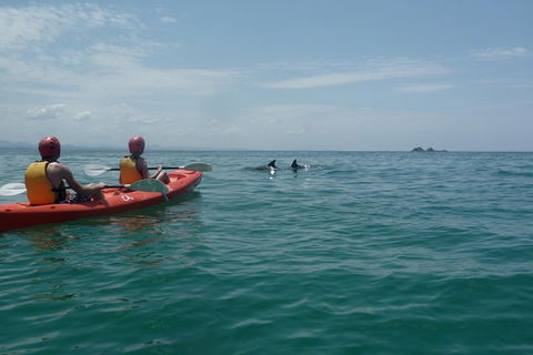 Kayaking With Dolphins In Byron Bay Guided Tour - ACT Tourism 4