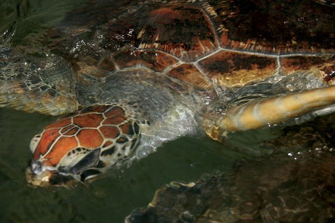 Cape Leveque 4WD Tour From Broome With Optional Return Flight - ACT Tourism 2