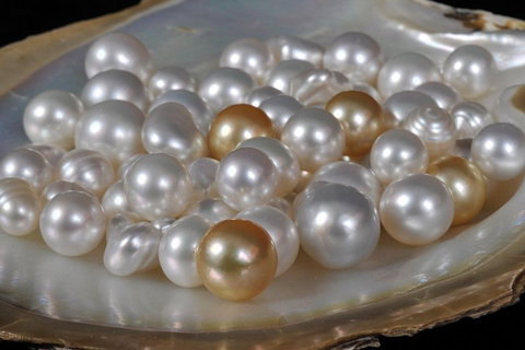 Cape Leveque 4WD Tour From Broome With Optional Return Flight - ACT Tourism 5