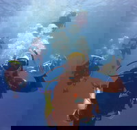 12-Day Great Barrier Reef Marine Conservation Program from Cairns - ACT Tourism