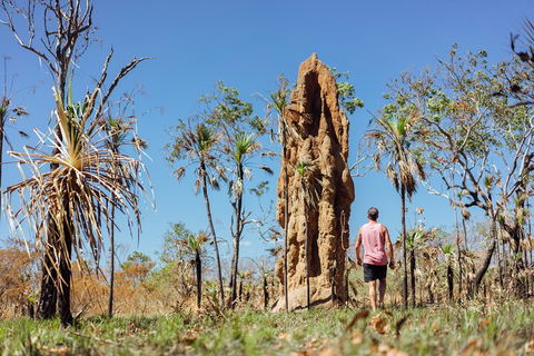 Litchfield National Park Waterfalls And Wildlife Tour From Darwin - ACT Tourism 4