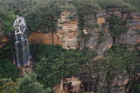 Blue Mountains Private Tour With Kangaroos & Koala Encounter - ACT Tourism 2