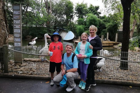 Blue Mountains Private Tour With Kangaroos & Koala Encounter - ACT Tourism 4