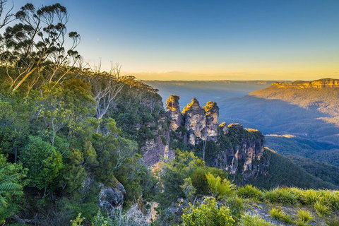 Blue Mountains Private Tour With Kangaroos & Koala Encounter - ACT Tourism 5