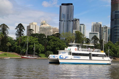 Lone Pine Koala Sanctuary Admission With Brisbane River Cruise - ACT Tourism 2