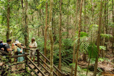 Fraser Explorer K'gari 2-Day Tour - ACT Tourism 5