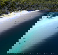 All-Inclusive Fraser Island Day Tour - ACT Tourism