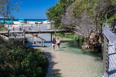 All-Inclusive Fraser Island Day Tour - ACT Tourism 4