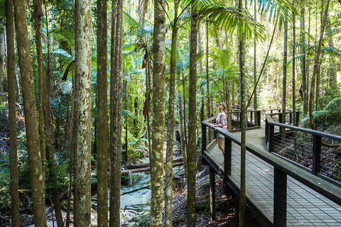 All-Inclusive Fraser Island Day Tour - ACT Tourism 5
