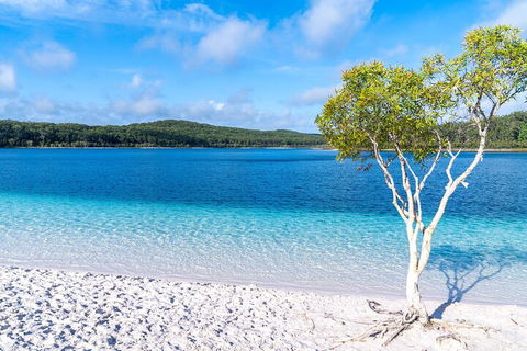Lake McKenzie Full-Day Tour With Lunch From Hervey Bay - ACT Tourism 1