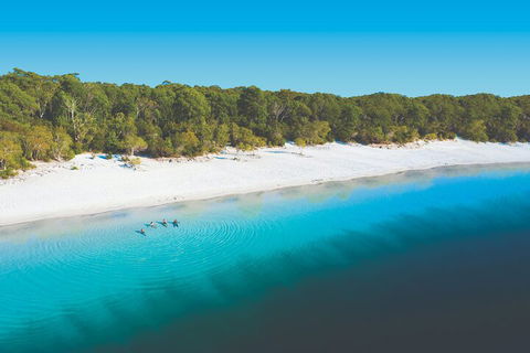 Lake McKenzie Full-Day Tour With Lunch From Hervey Bay - ACT Tourism 4