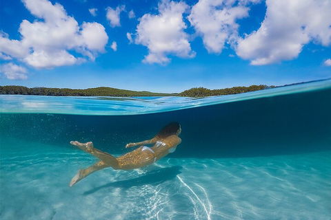 Lake McKenzie Full-Day Tour With Lunch From Hervey Bay - ACT Tourism 5