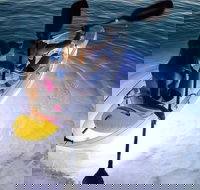 2-Day Moreton Island Tour from Brisbane or Gold Coast with Optional Nighttime Kayaking - ACT Tourism