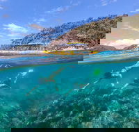 Great Barrier Reef Scenic Flight and Ocean Rafting Whitehaven Beach Day Trip - ACT Tourism