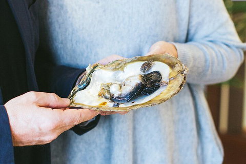 Half-Day Willie Creek Pearl Farm Tour With Helicopter Flight - ACT Tourism 3