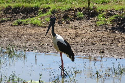 Darwin To Kakadu Day Trip By Air Including Yellow Water Cruise - ACT Tourism 0