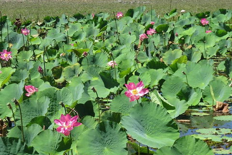 Darwin To Kakadu Day Trip By Air Including Yellow Water Cruise - ACT Tourism 2
