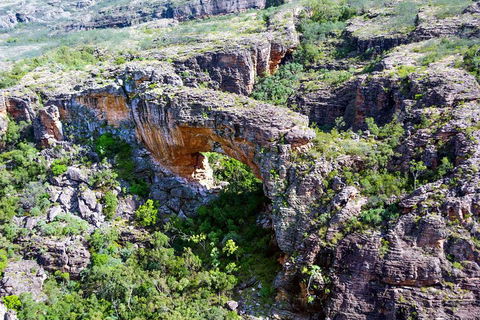 Darwin To Kakadu Day Trip By Air Including Yellow Water Cruise - ACT Tourism 4
