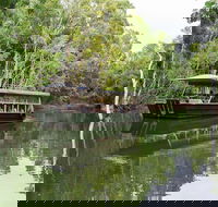 Hartley's Crocodile Adventures Breakfast with the Koalas - ACT Tourism