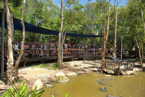 Hartley's Crocodile Adventures Breakfast With The Koalas - ACT Tourism 1