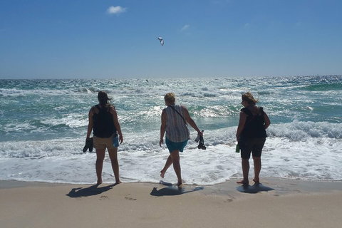 Very Best Of Perth Tour - Wildlife Park & City Highlights Tour - ACT Tourism 5