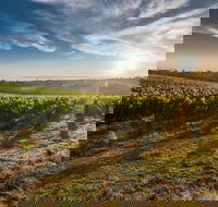 Perth to Margaret River Wine Tour - 2 Day Premium Boutique Wine Tour Experience - ACT Tourism