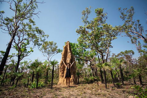 Litchfield National Park - Top End Day Tour From Darwin - ACT Tourism 5