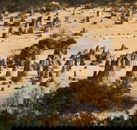 Pinnacles Sunset Dinner and Stargazing Experience a Small Group Tour - ACT Tourism