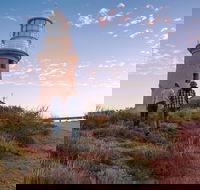 6-Day Coral Coaster from Perth to Exmouth One-Way via Monkey Mia Ningaloo Reef - ACT Tourism