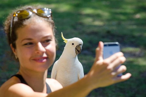 Melbourne To Adelaide South East Coast 3 Day Overland Tour - ACT Tourism 3