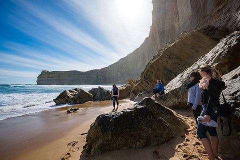 Small-Group Great Ocean Road And 12 Apostles Full-Day Tour From Melbourne - ACT Tourism 1