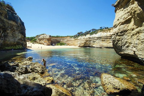 Small-Group Great Ocean Road And 12 Apostles Full-Day Tour From Melbourne - ACT Tourism 5