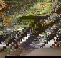 Adelaide Highlights Hahndorf  McLaren Vale Wine Tasting and Sightseeing Tour - ACT Tourism