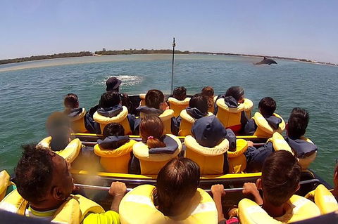 Jet Boat Express Ride - 30mins - ACT Tourism 5