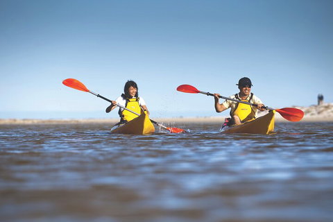 Kangaroo Island Self-Guided Kayaking On The Harriet River - ACT Tourism 2