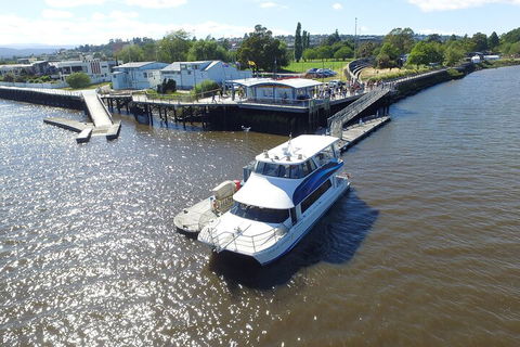 2.5 Hour Morning Discovery Cruise Including Sailing Into The Cataract Gorge - ACT Tourism 3