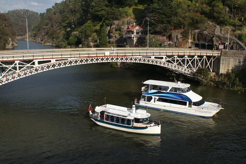 2.5 Hour Morning Discovery Cruise Including Sailing Into The Cataract Gorge - ACT Tourism 5